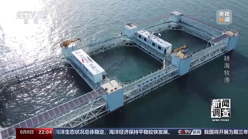新聞調查丨耕海牧漁 看海水養殖如何向深遠海探索